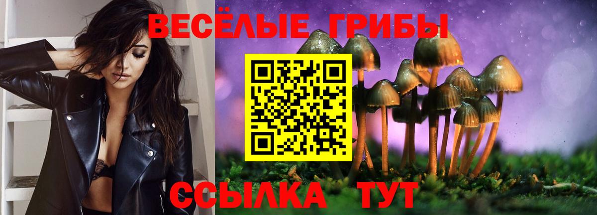 Галлюциногенные грибы Magic Shrooms  Вход с VPN  Галлюциногенные грибы Magic Shrooms  Копейск 